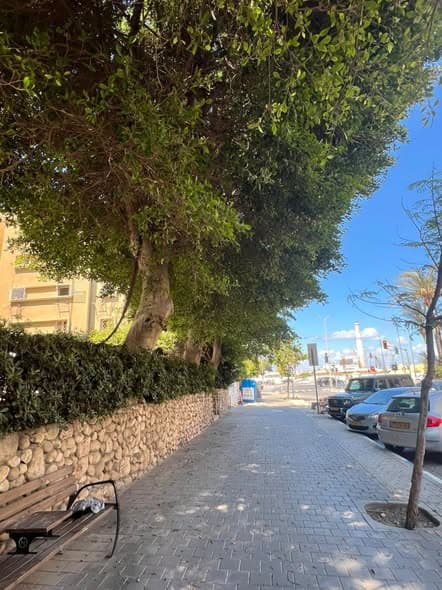 5 room rental in Old North