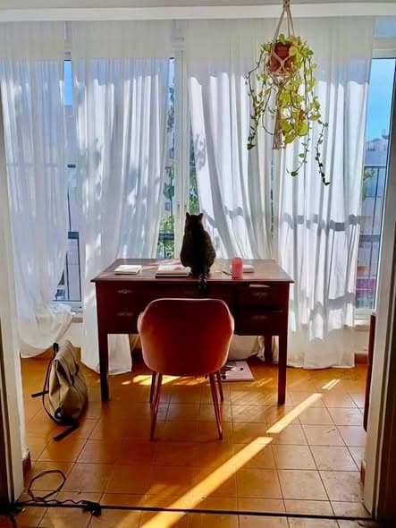 3 room rental in Old North