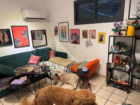 2 room rental in Lev HaIr